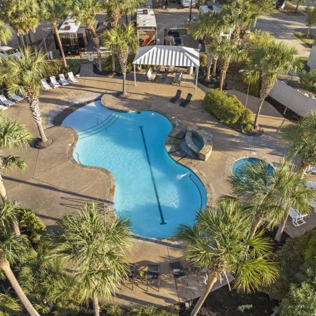 Aerial view of a resort-style swimming pool and hot tub surrounded by palm trees at Lakeview RV Resort by Quality RV Resorts